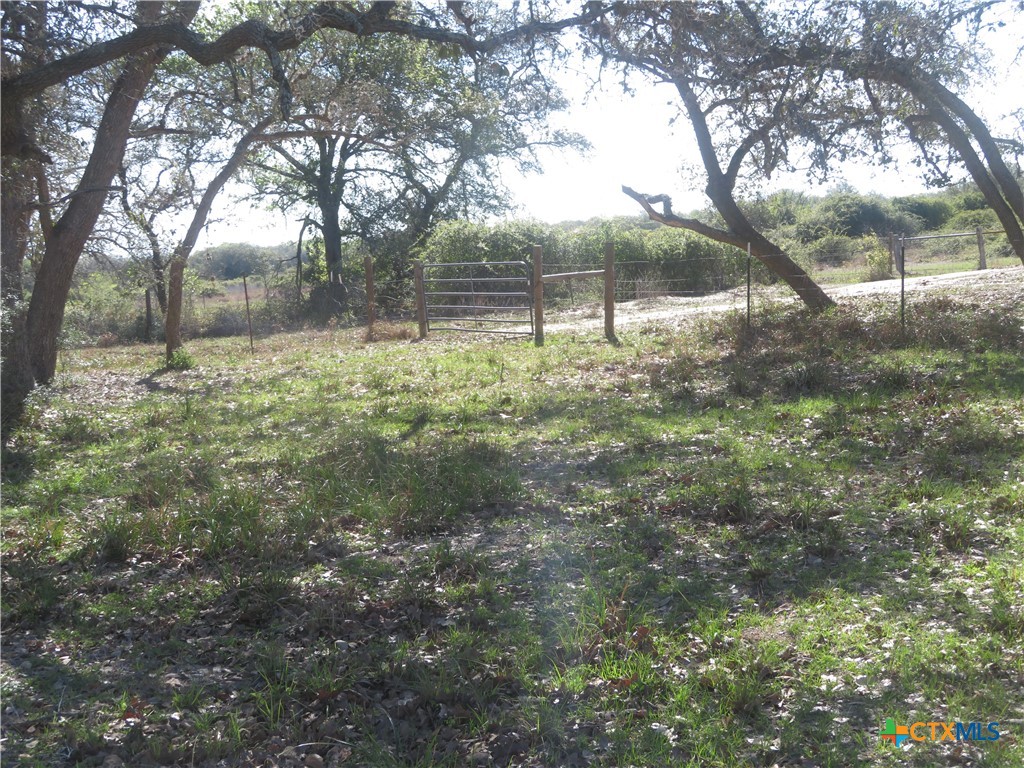 1923 Co Rd 286 Property Photo 16