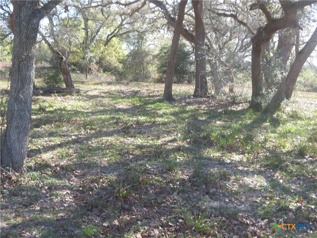 1923 Co Rd 286 Property Photo 17