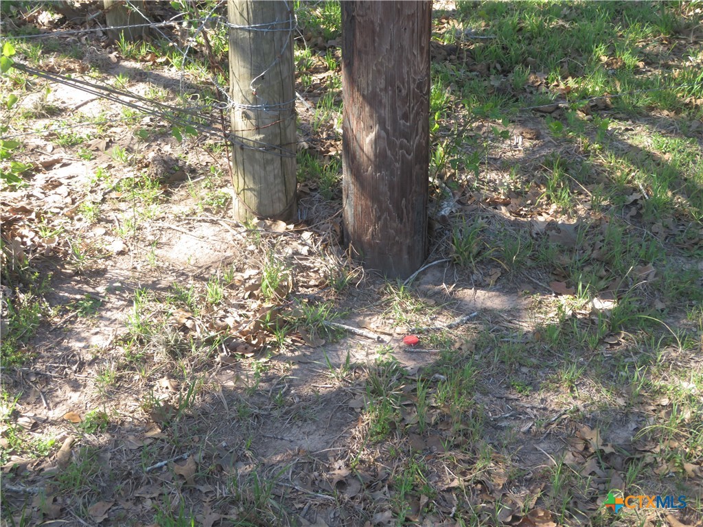 1923 Co Rd 286 Property Photo 18
