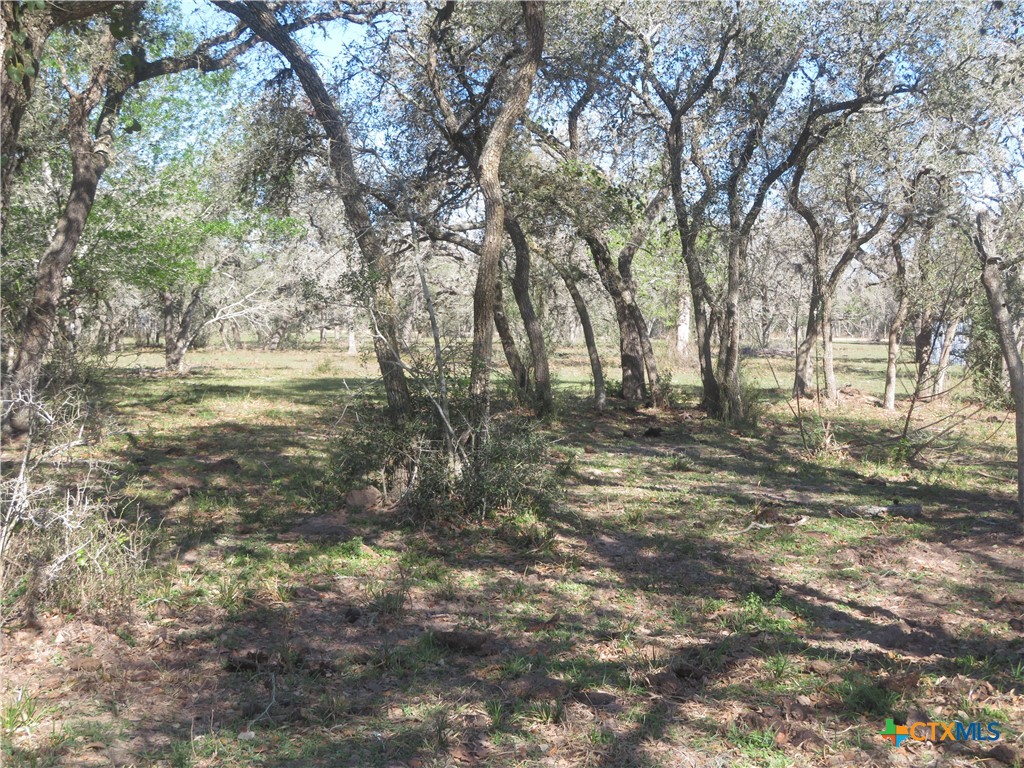 1923 Co Rd 286 Property Photo 21