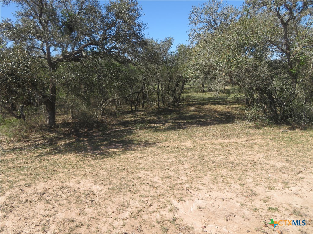 1923 Co Rd 286 Property Photo 30