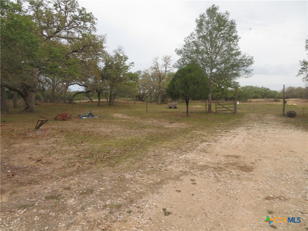 1923 Co Rd 286 Property Photo 35