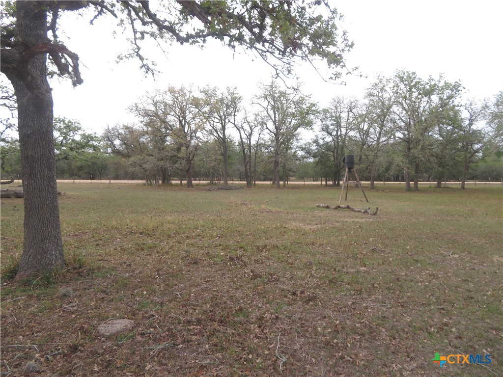 1923 Co Rd 286 Property Photo 37