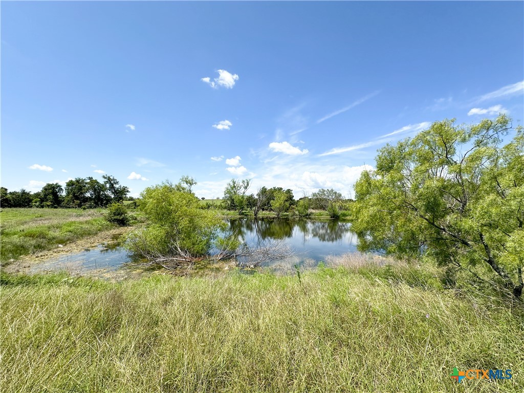Tbd Fm 116 Property Photo 10