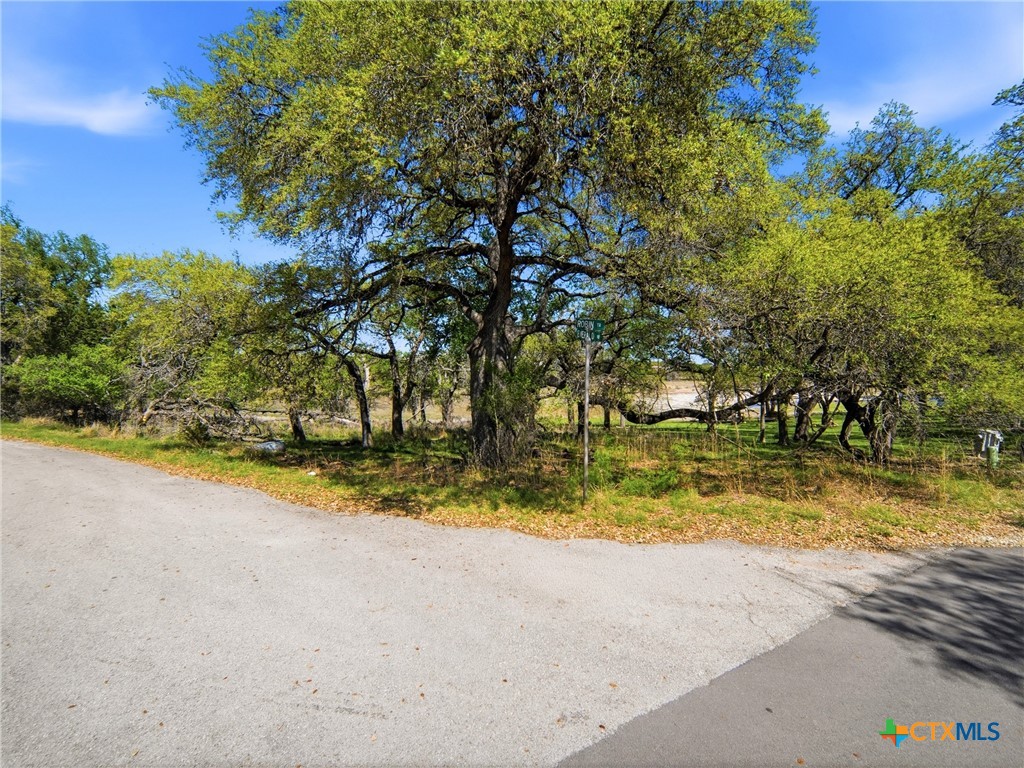 1309 Emerald Property Photo 18
