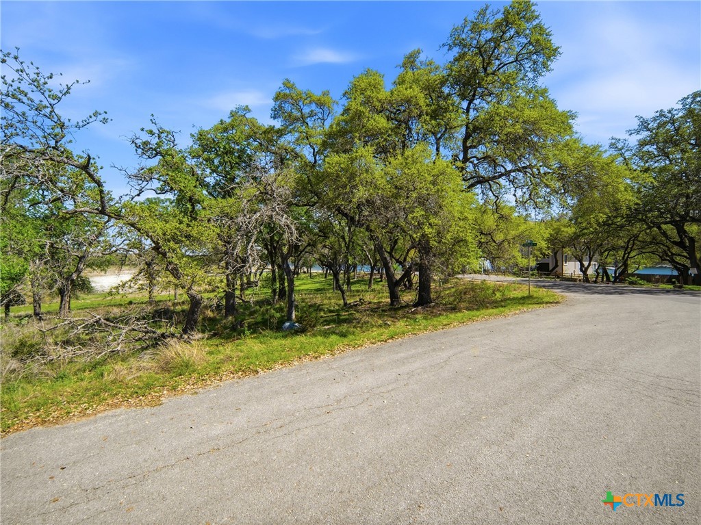 1309 Emerald Property Photo 19