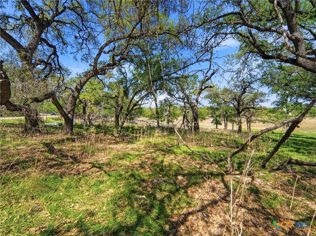1309 Emerald Property Photo 20