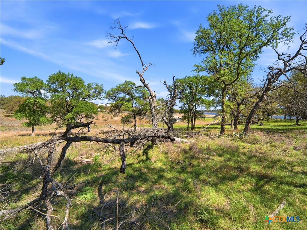 1309 Emerald Property Photo 21