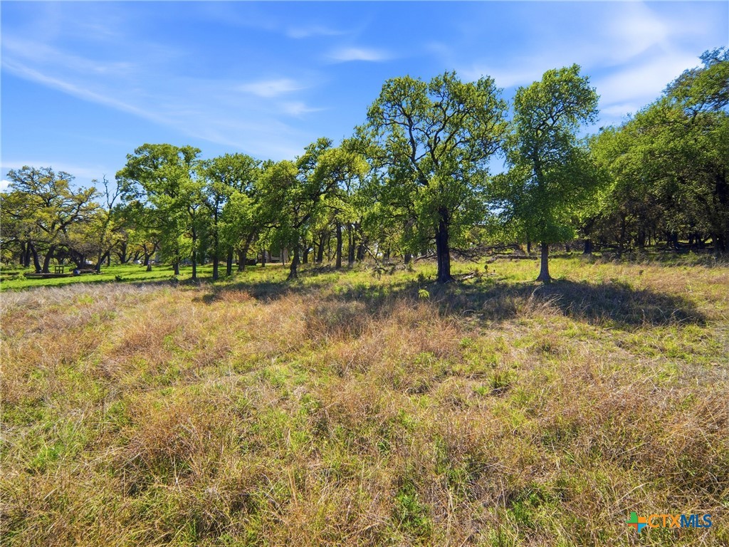 1309 Emerald Property Photo 23