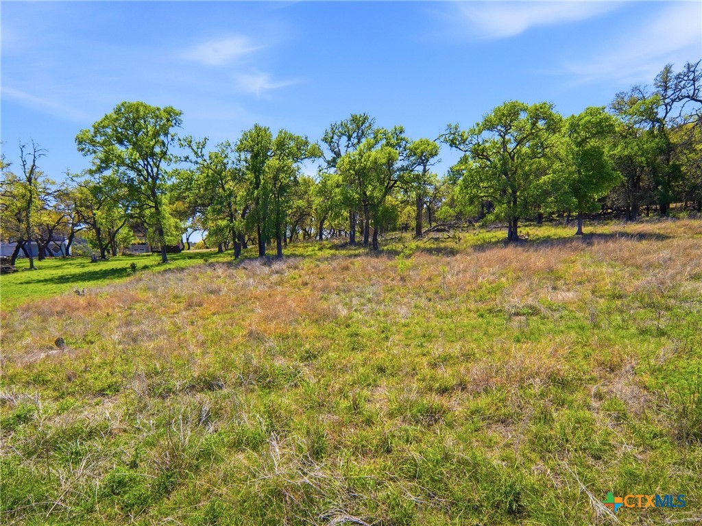 1309 Emerald Property Photo 24
