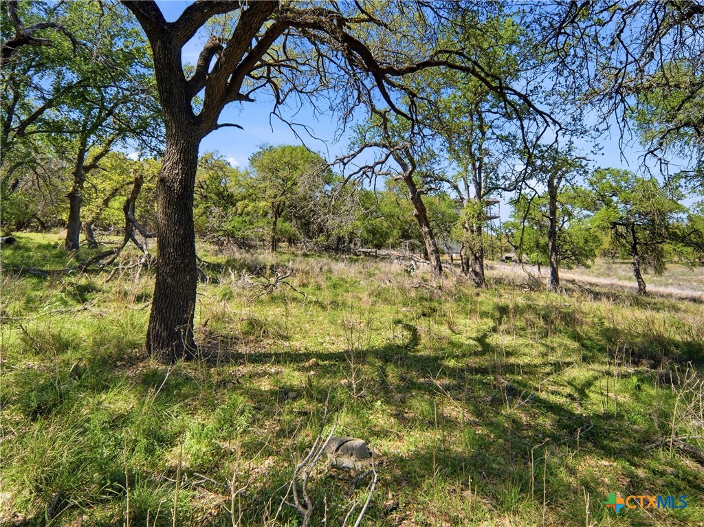 1309 Emerald Property Photo 26