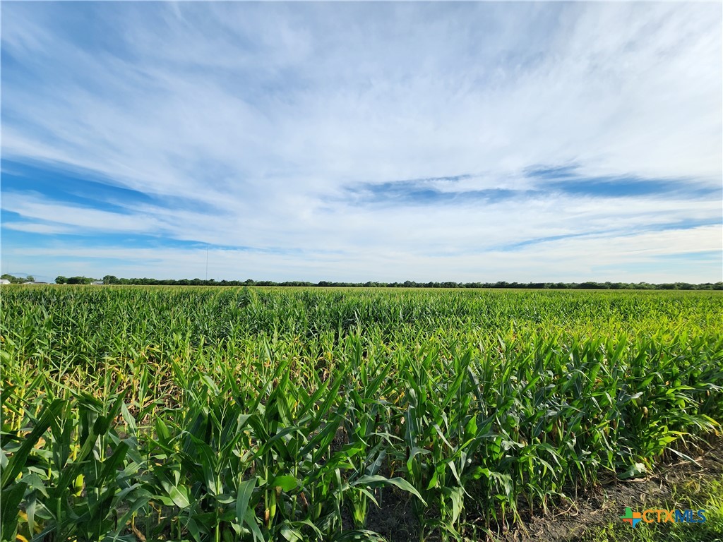4007 Lone Tree Road Property Photo