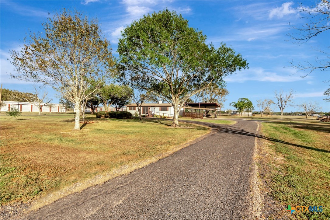 293 County Road 406 Property Photo 7