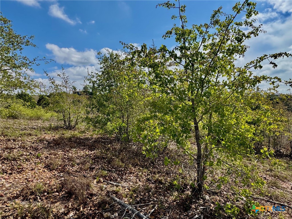 Tbd Hudson Road Property Photo 9