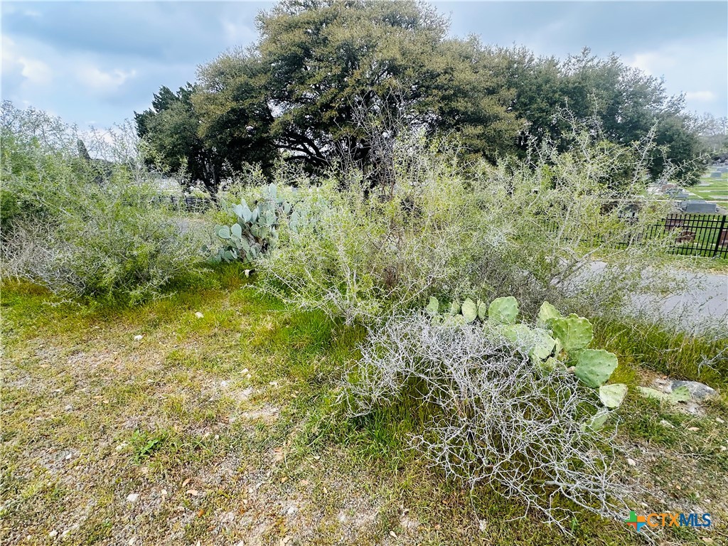460 Peace Avenue Property Photo 1