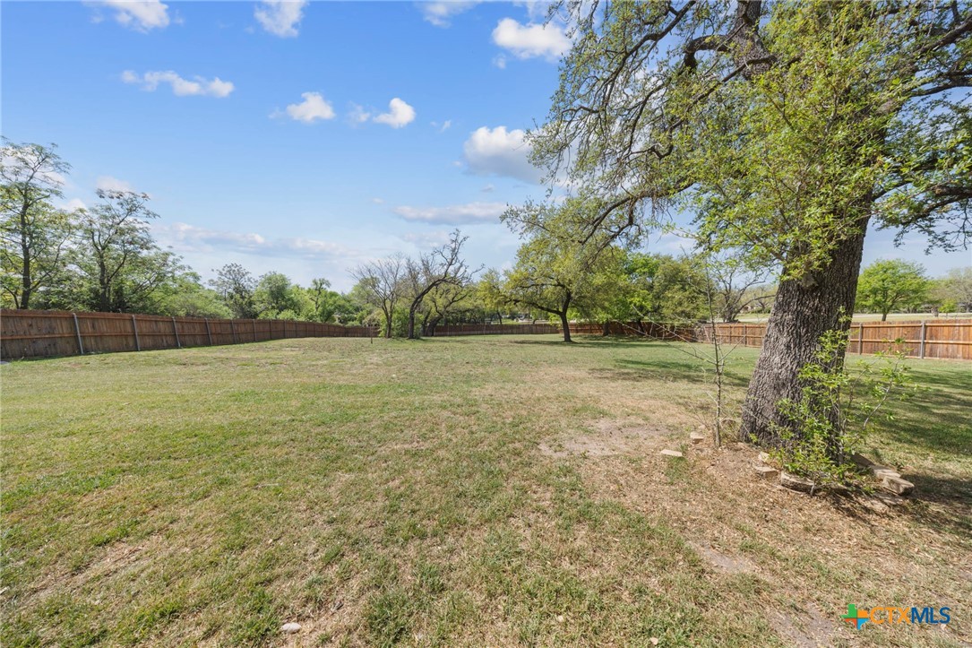 11025 Granbury Cove Property Photo 23