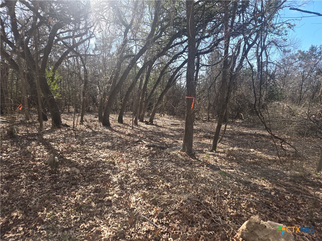 Tbd Estate Trail Property Photo 2