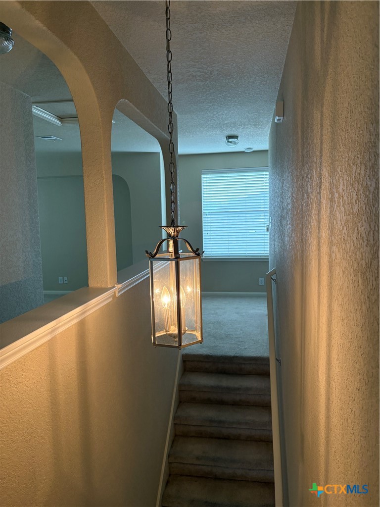 102 Wisteria Way Property Photo 28