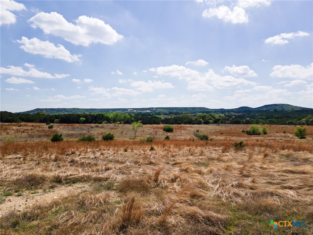 1133 Holden Loop Property Photo 11