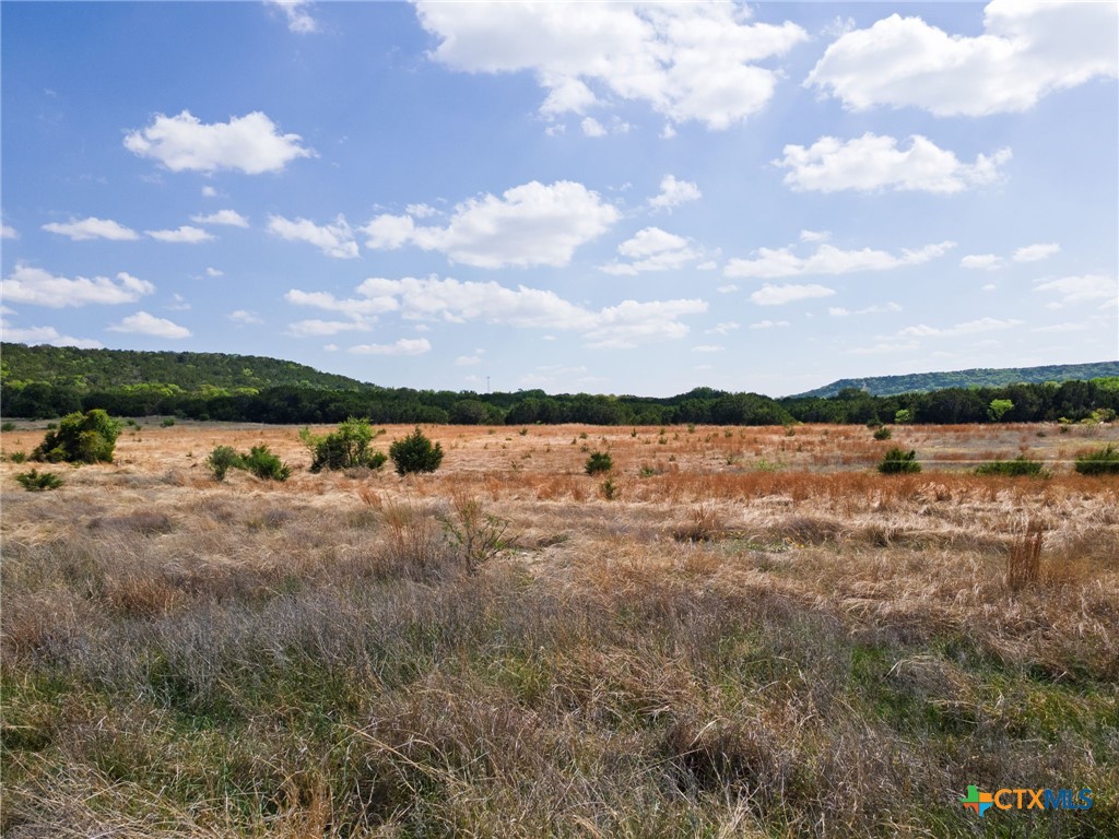 1133 Holden Loop Property Photo 12