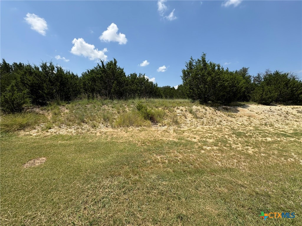 4210 Primrose Drive C Property Photo 15