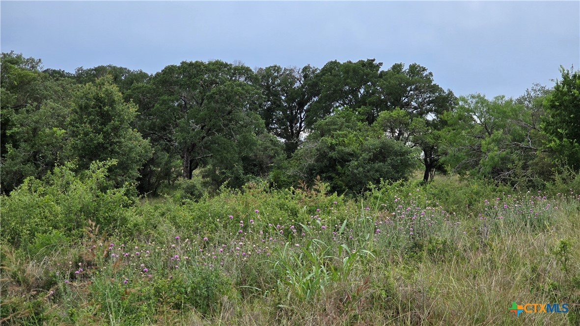 Tbd Fm 2340 Property Photo 7