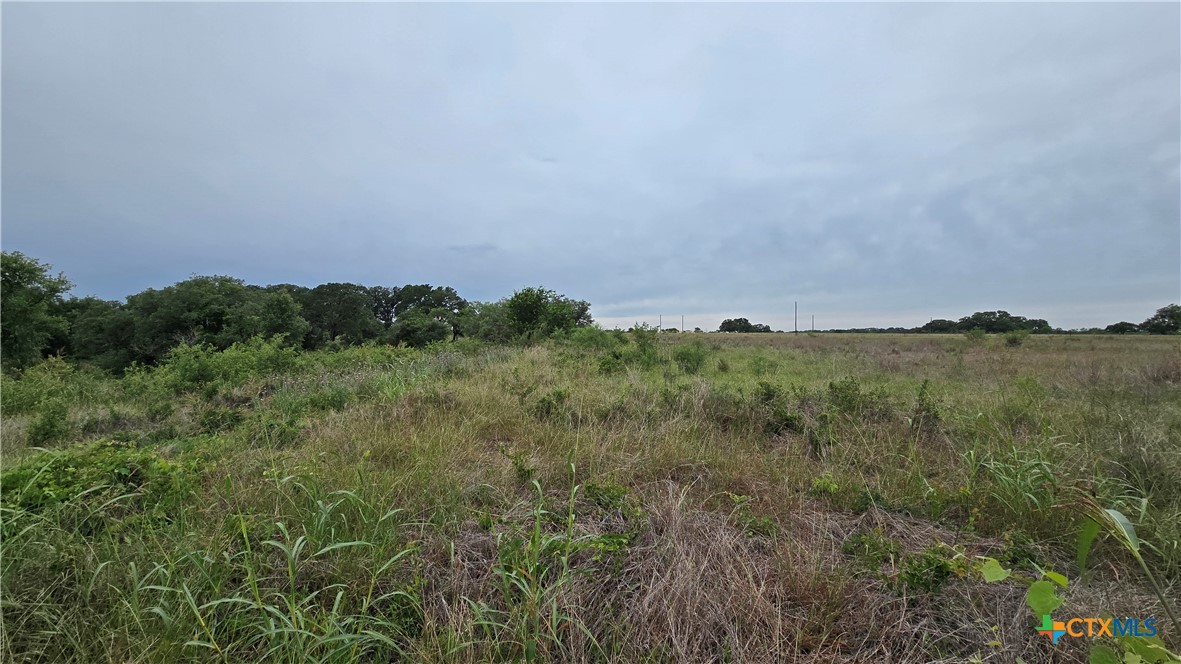 Tbd Fm 2340 Property Photo 8