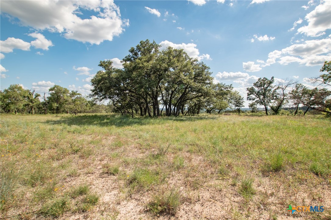 0 Fm 580 E 0123 Lot 23 & 25 Property Photo 4