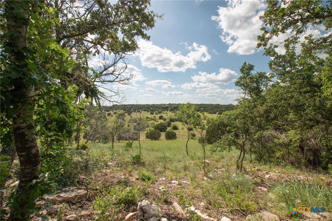 0 Fm 580 E 0123 Lot 23 & 25 Property Photo 6