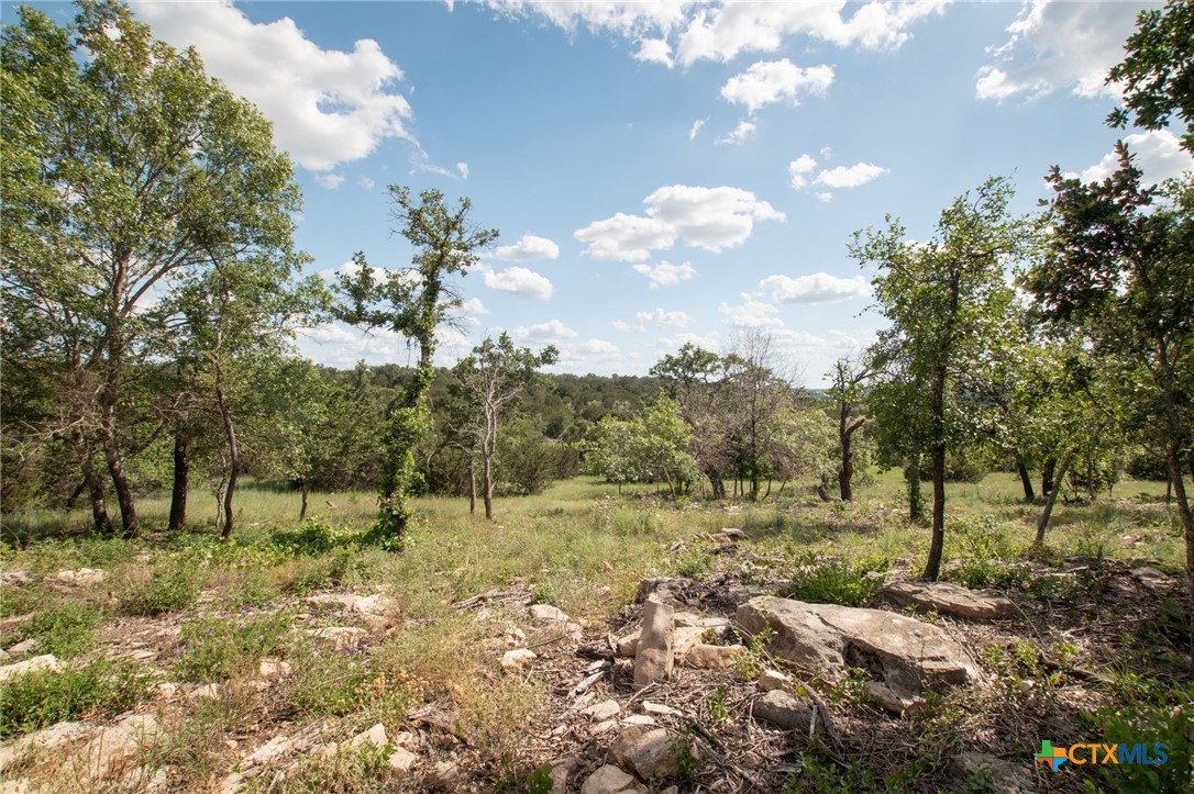 0 Fm 580 E 0123 Lot 23 & 25 Property Photo 9