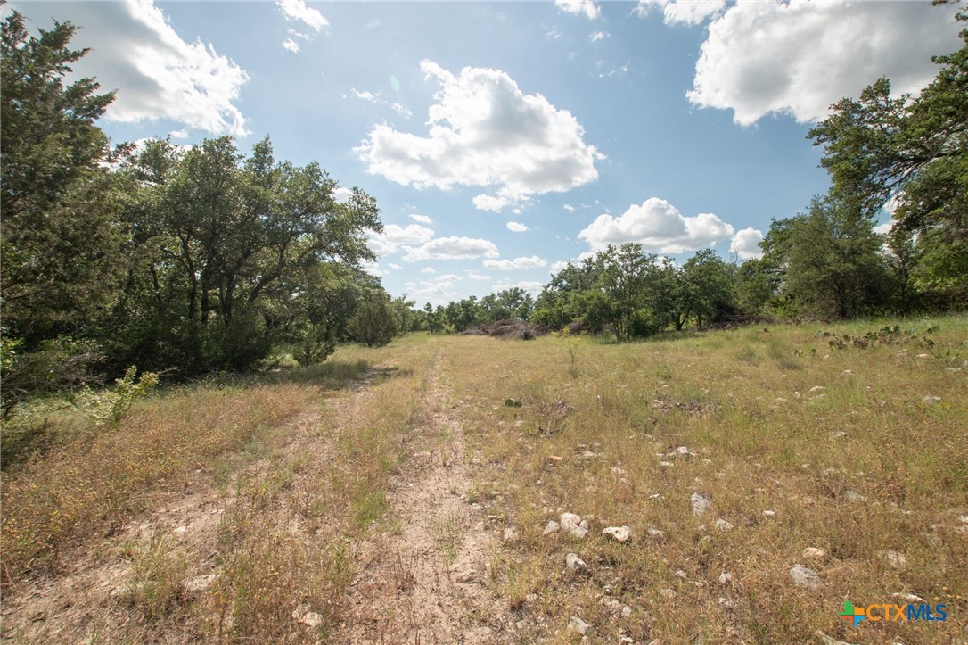 0 Fm 580 E 0123 Lot 23 & 25 Property Photo 11