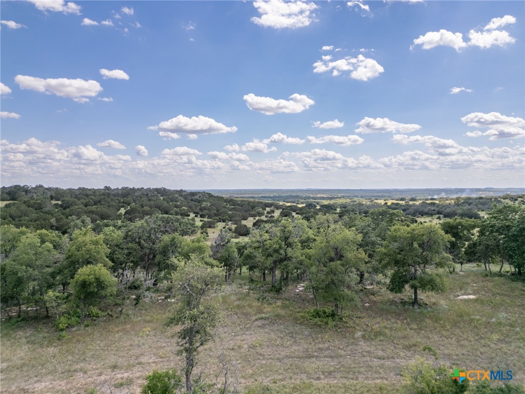 0 Fm 580 E 0123 Lot 23 & 25 Property Photo 23