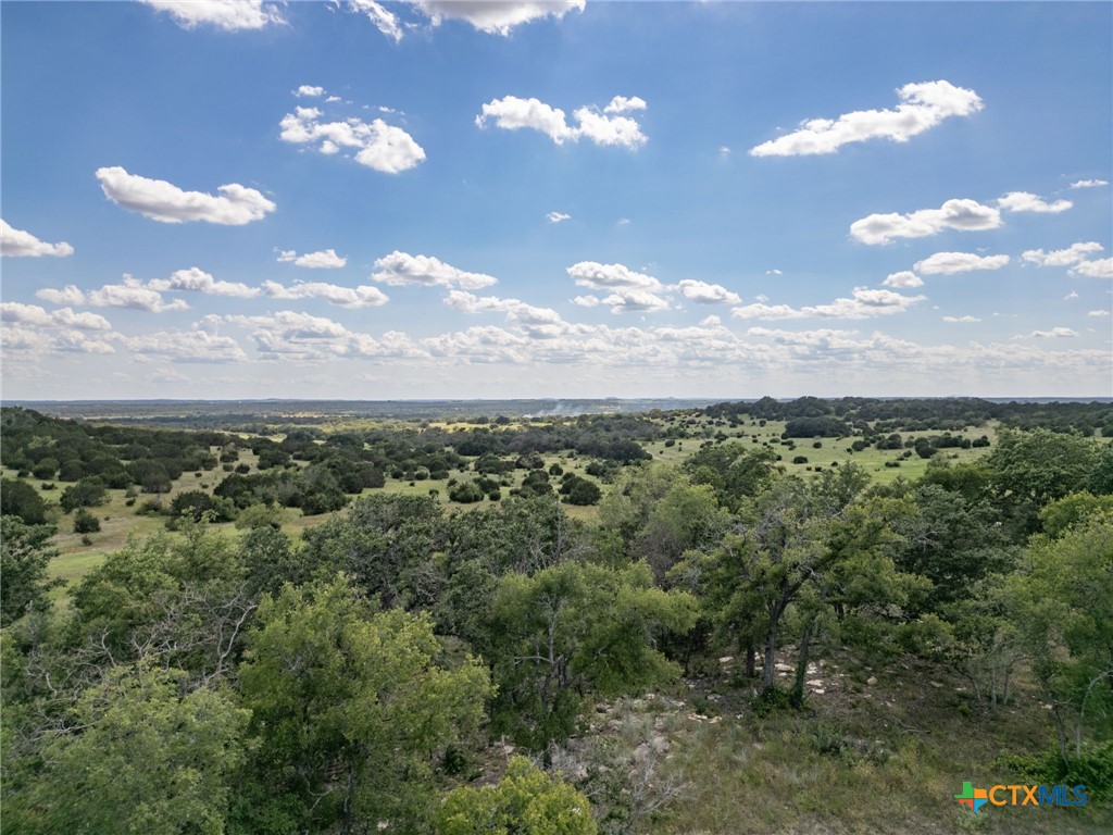 0 Fm 580 E 0123 Lot 23 & 25 Property Photo 31