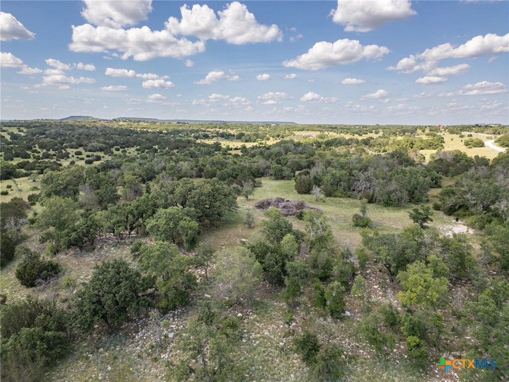 0 Fm 580 E 0123 Lot 23 & 25 Property Photo 33