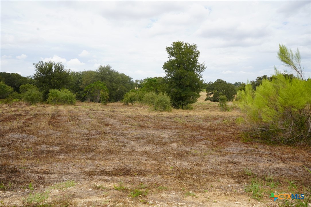 920 Mills Way Property Photo 3