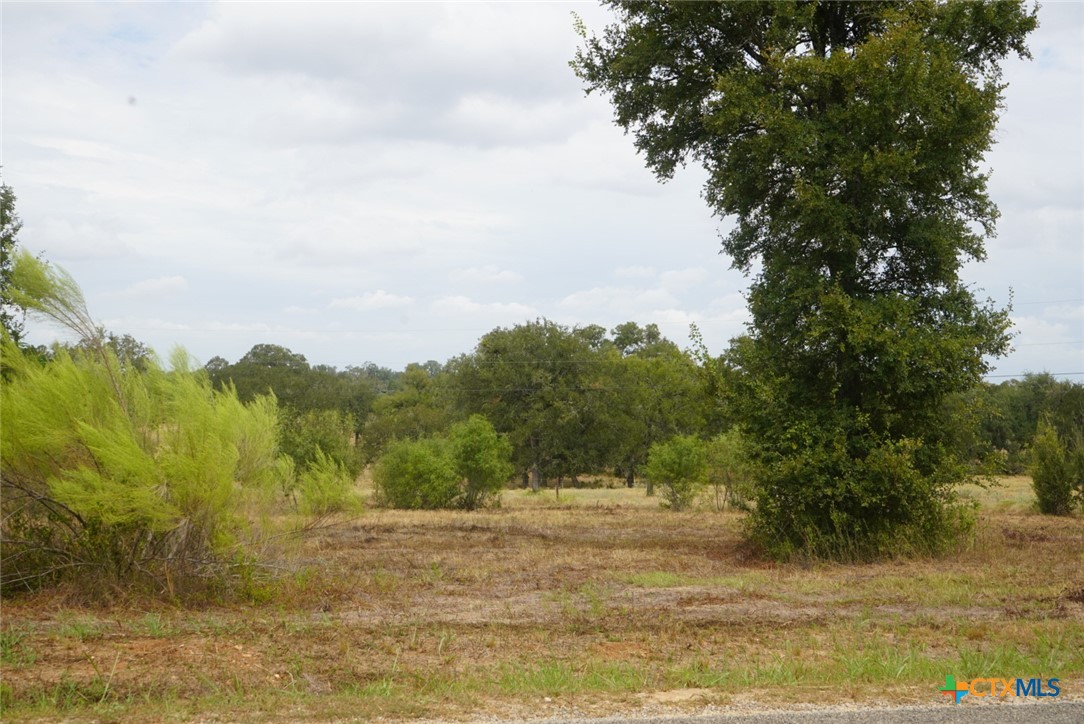 920 Mills Way Property Photo 8