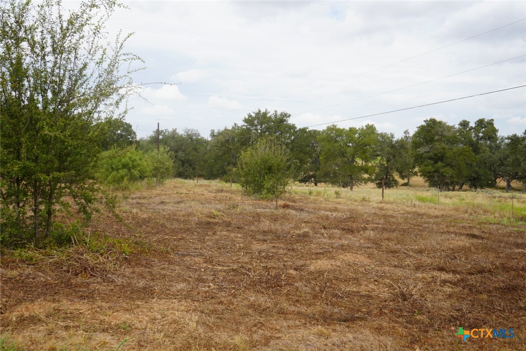 920 Mills Way Property Photo 10