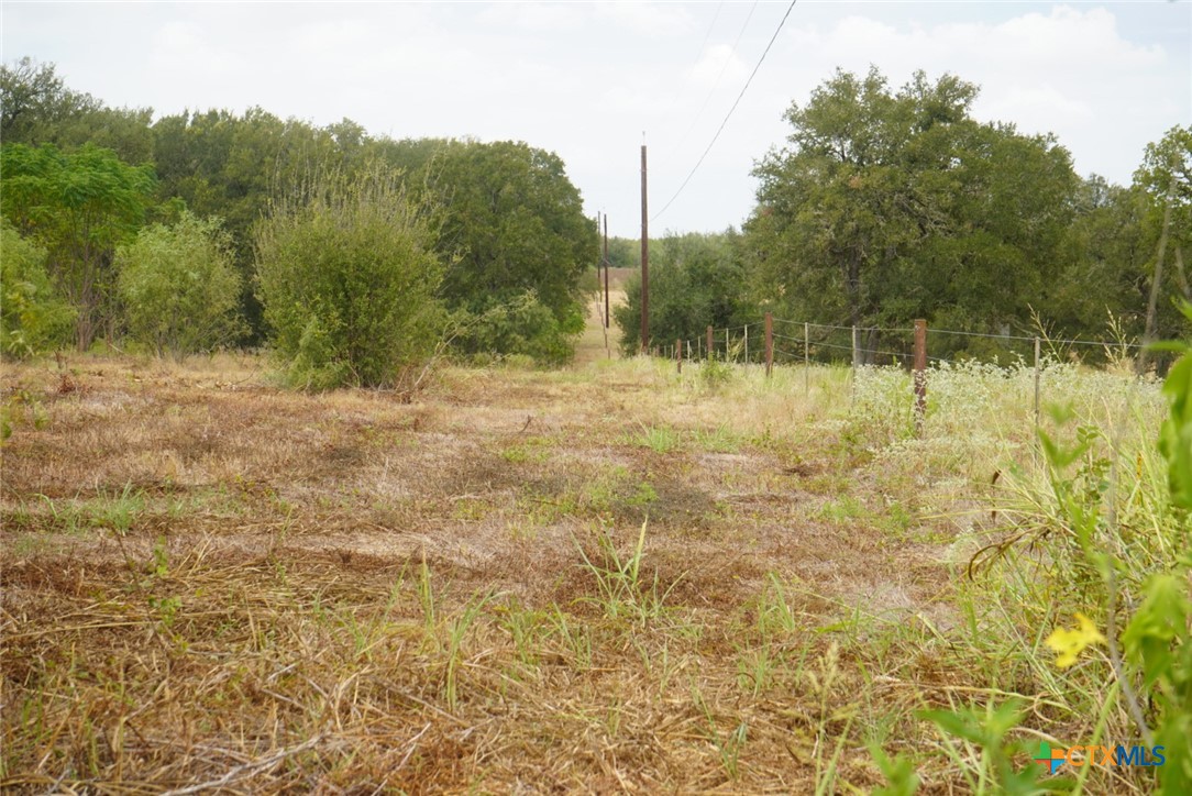 920 Mills Way Property Photo 11