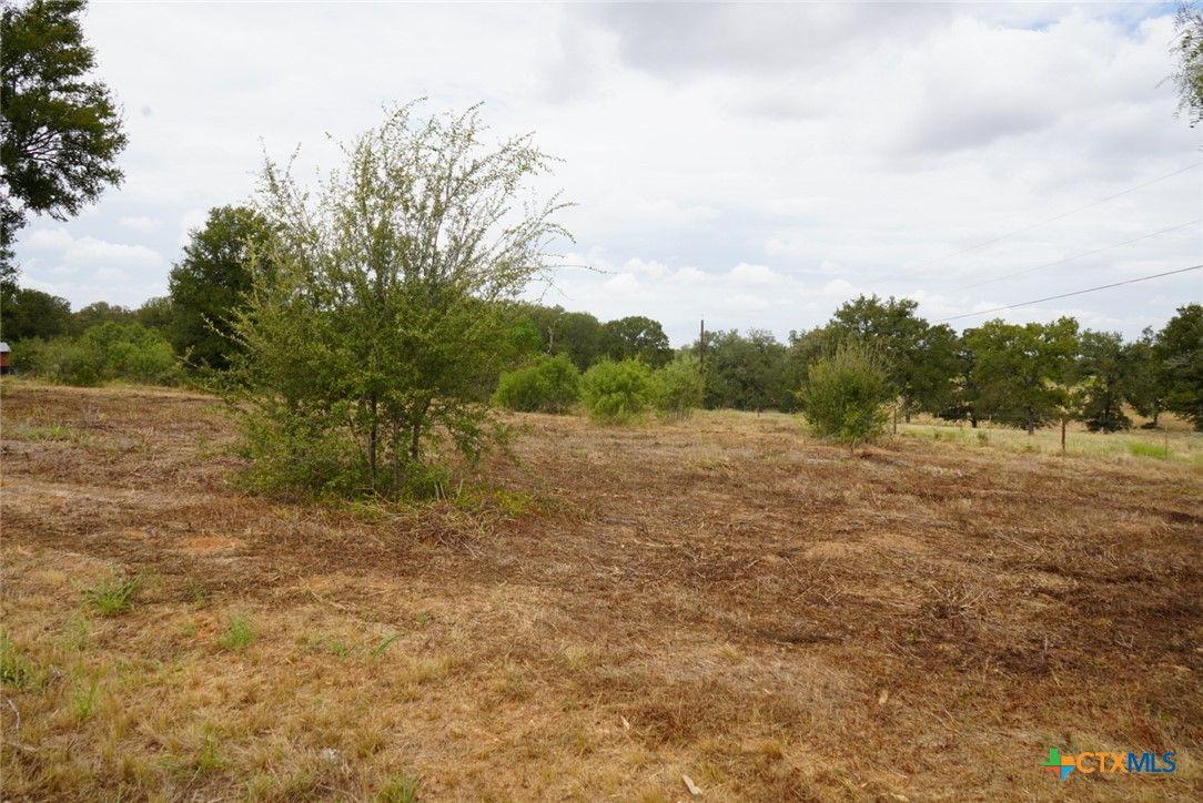920 Mills Way Property Photo 12