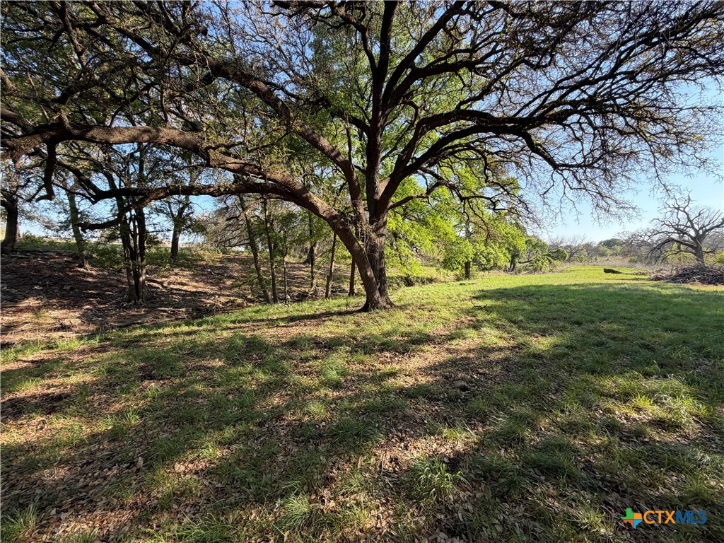 118 Guadalupe Drive Property Photo 19