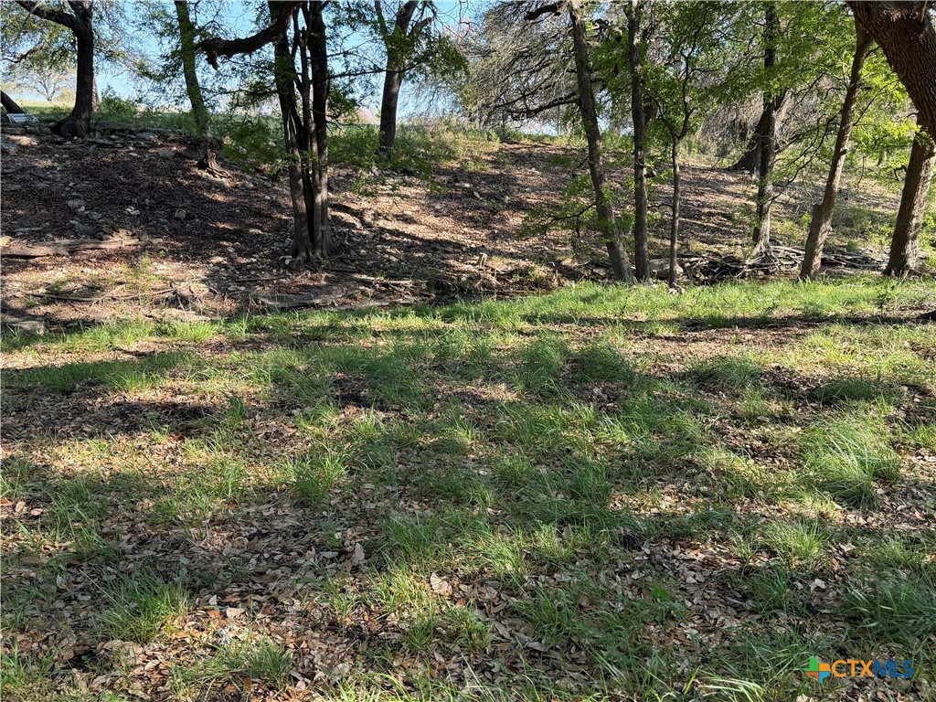 118 Guadalupe Drive Property Photo 20