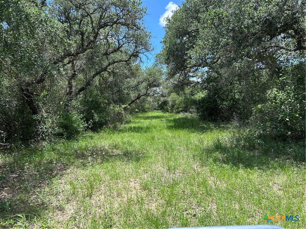 1022 County Road 438 Property Photo 11