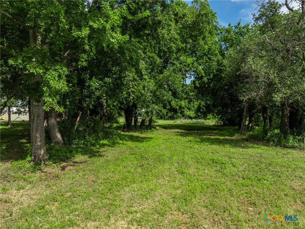 199 Apache Springs Road Property Photo 29