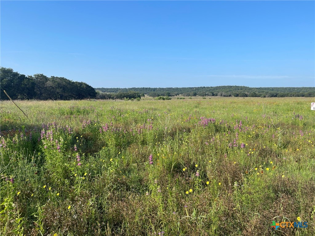 Lot 11 Fm 1690