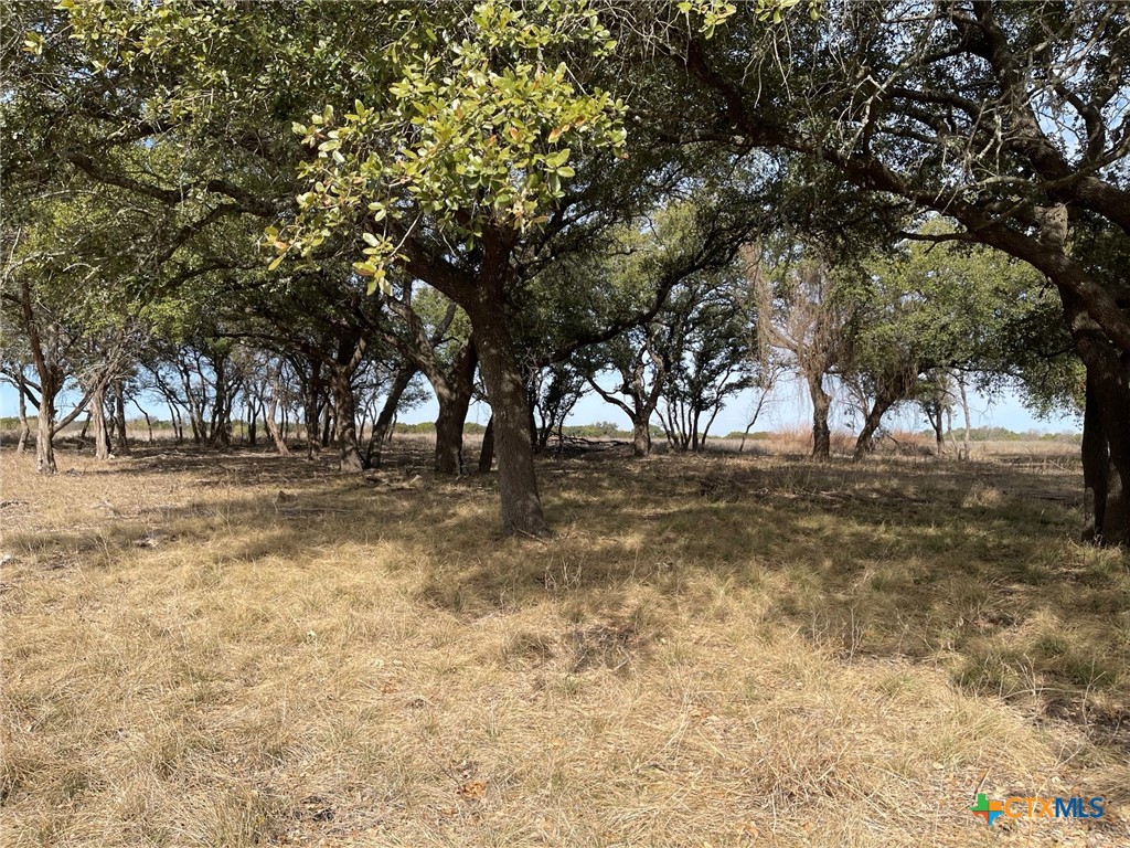 Lot 11 Fm 1690 Property Photo 3