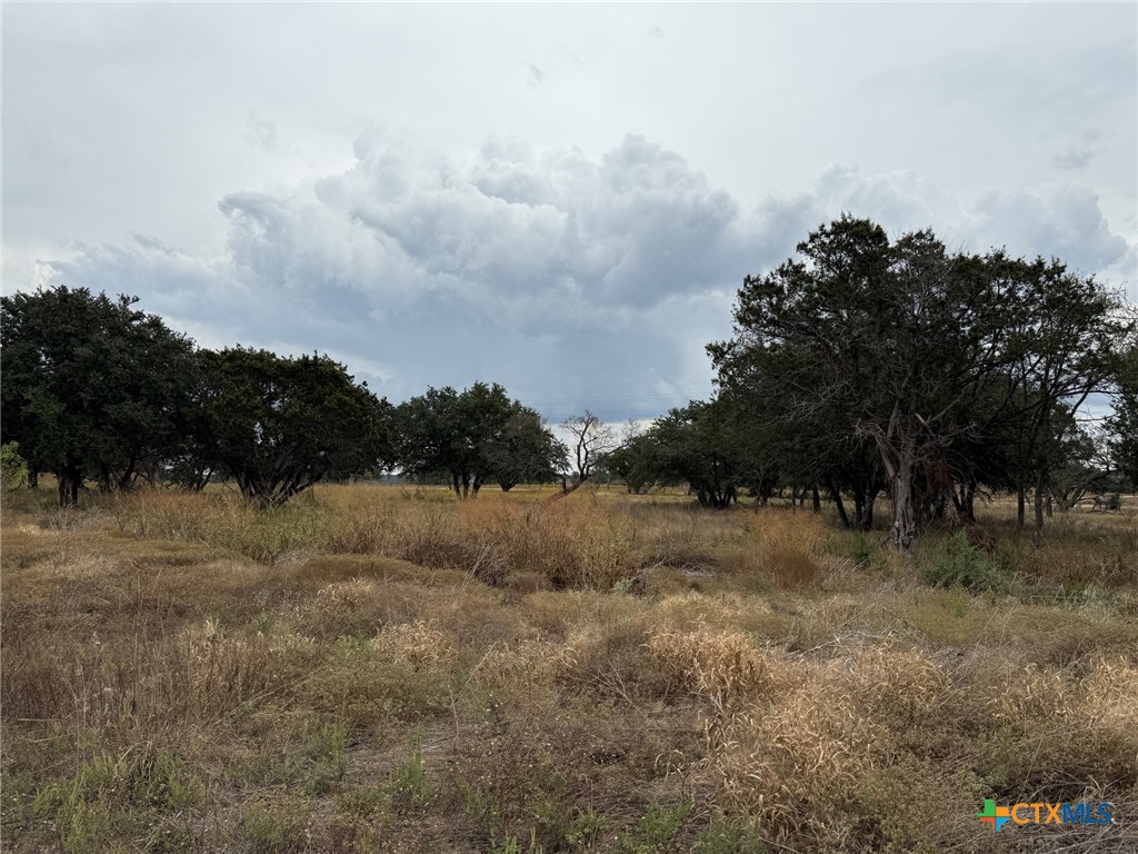 Lot 11 Fm 1690 Property Photo 5