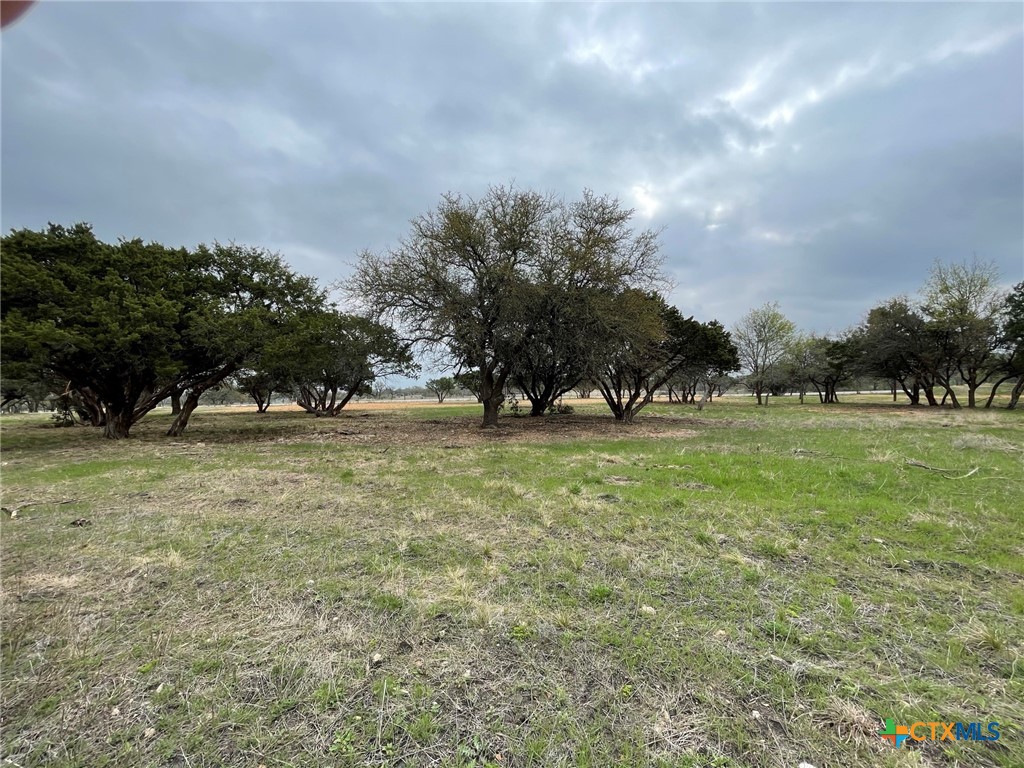 Lot 11 Fm 1690 Property Photo 6