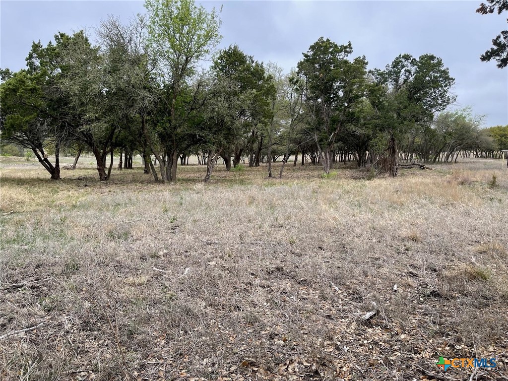 Lot 11 Fm 1690 Property Photo 8