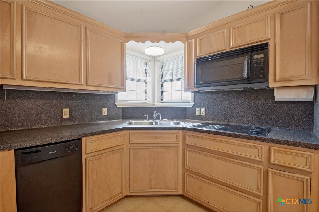 23409 Zac Lentz Parkway Property Photo 21