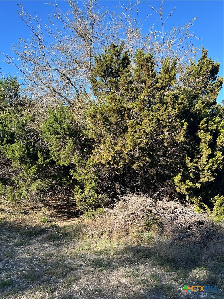 440 Canyon Edge Property Photo 3